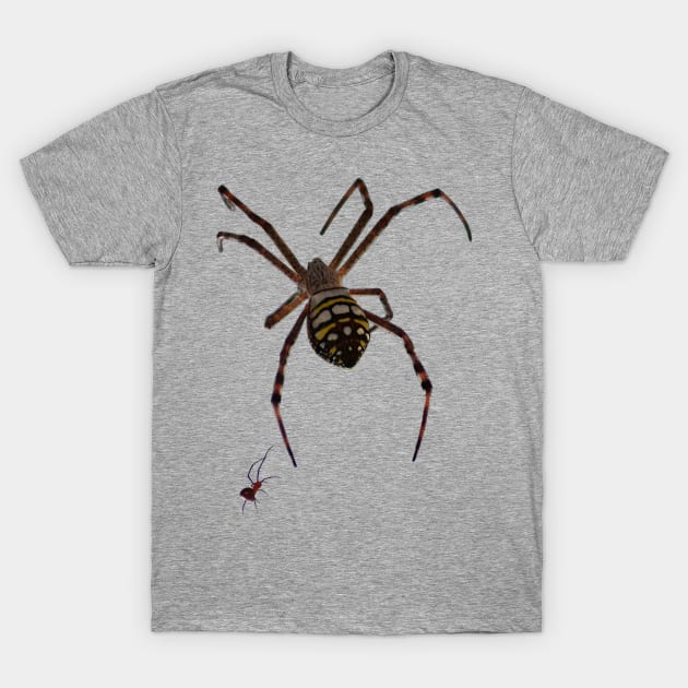 Spider T-Shirt by alsoCAN